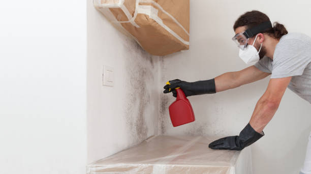 Professional Mold Inspection And Testing technician working in Bedminster, NJ